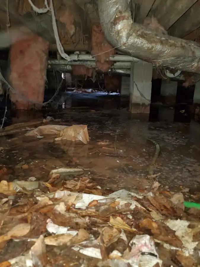Crawl space flood assessment for Leak Detection & Repair in Juneau