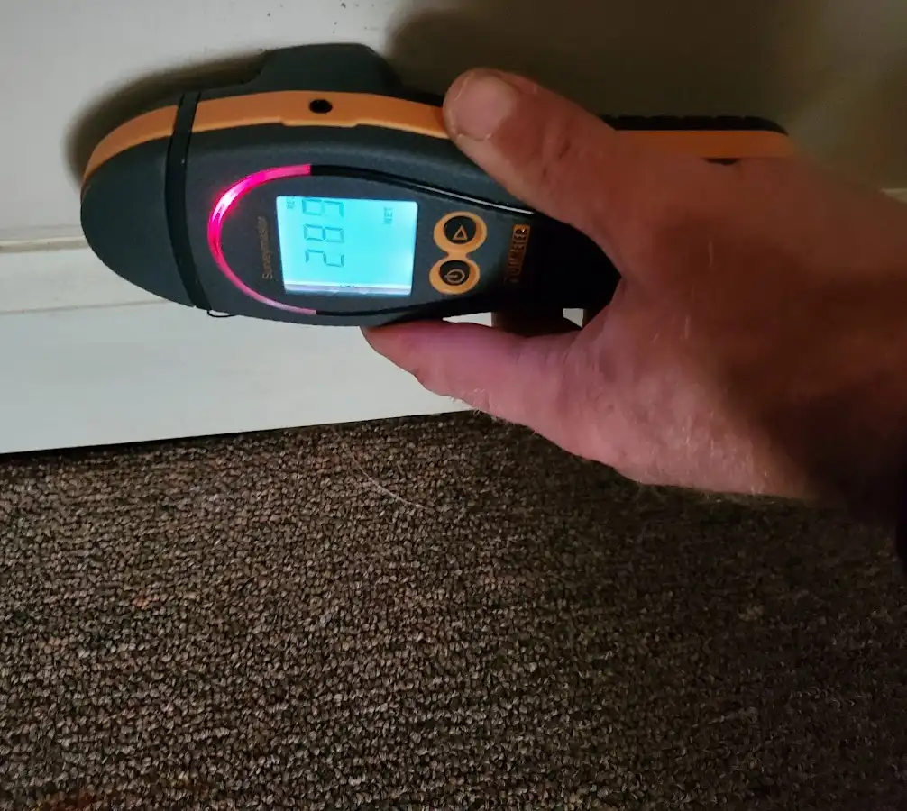 Moisture detection at baseboard during Mold Inspection & Testing in Juneau